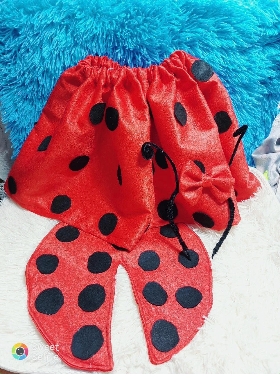Custom Costumes